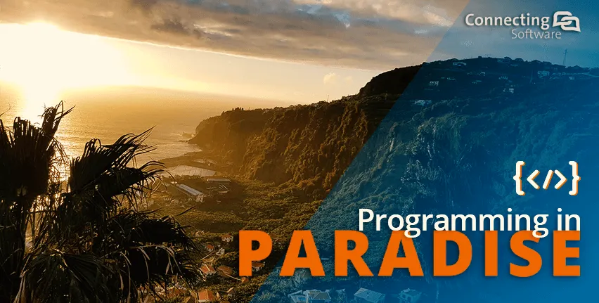 programming-in-paradise-job-offer